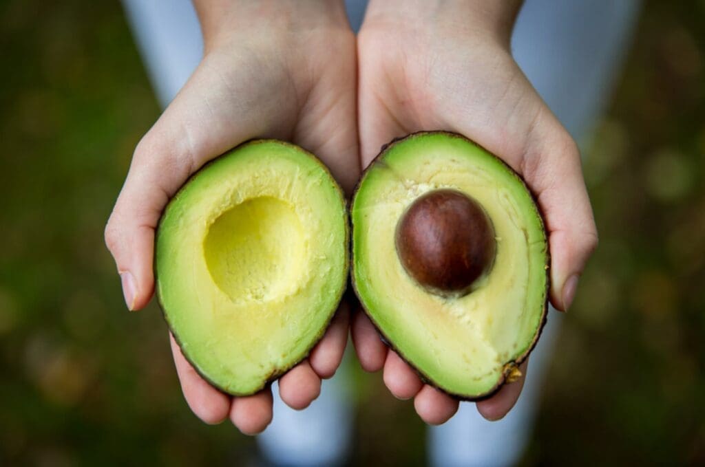 ""The Role of Healthy Fats in Fitness and Nutrition". Tips from Holly Roser Fitness. | Personal Training "