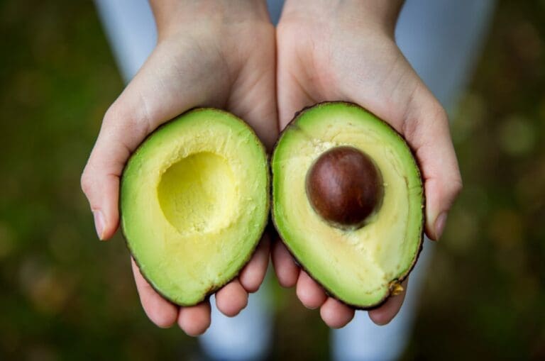 “The Role of Healthy Fats in Fitness and Nutrition”. Tips from Holly Roser Fitness.