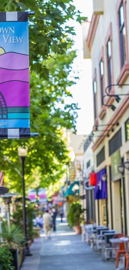 Train at home in Mountain View with a certified personal trainer from Holly Roser Fitness.