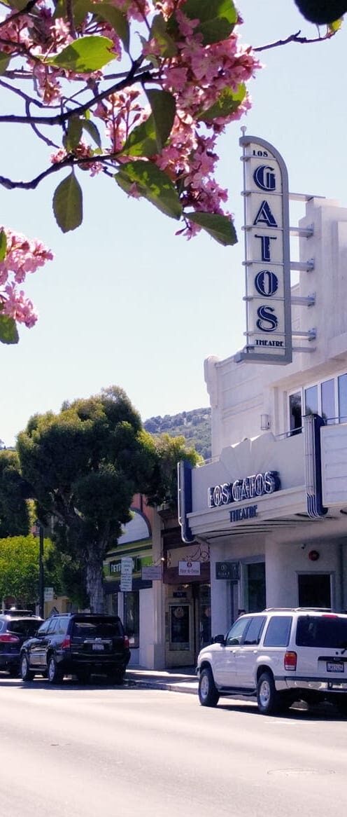 Exercise at home in Los Gatos with a certified mobile personal trainer from Holly Roser Fitness.