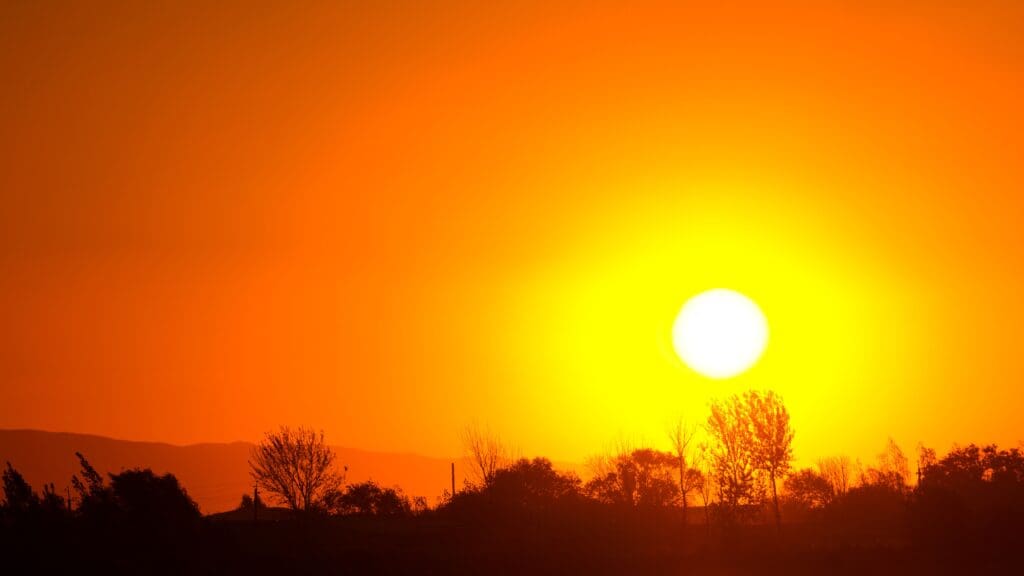 "How to Exercise Safely in the Sun This Summer | Personal Training "