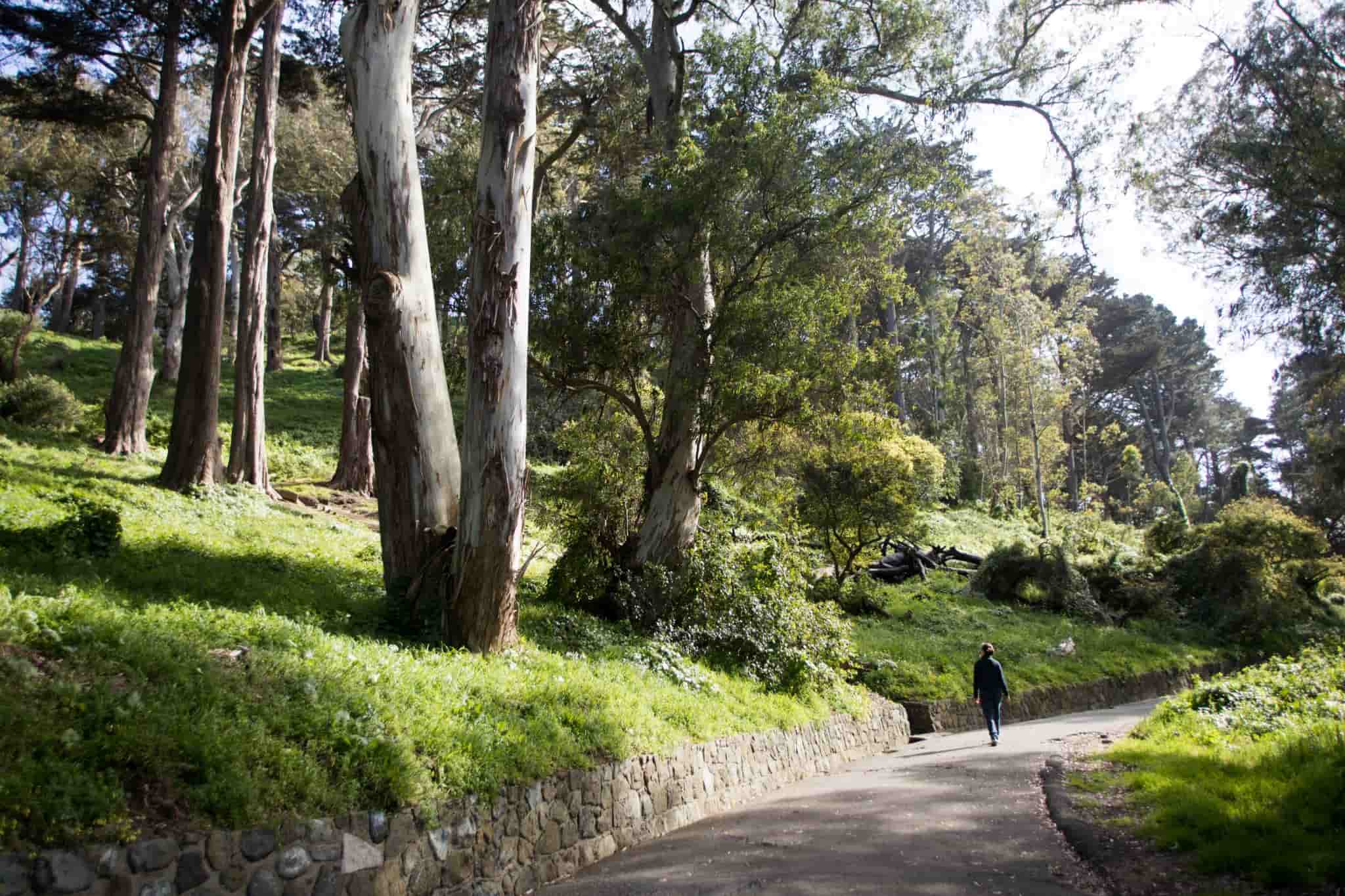 Buena Vista Park, tips from Holly Roser.